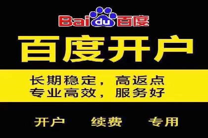 百度竞价账户托管案例研究：提升广告投放效率