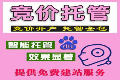 百度推广代运营服务案例分享